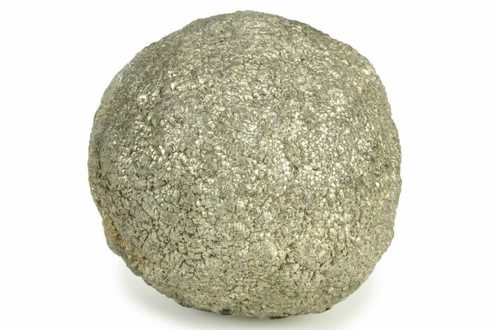 Natural, Shiny Pyrite Concretion #242554